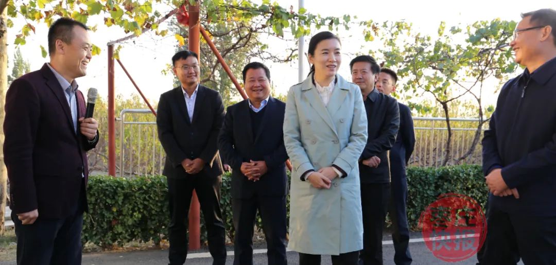 张宏伟到山亭调研乡村振兴等工作