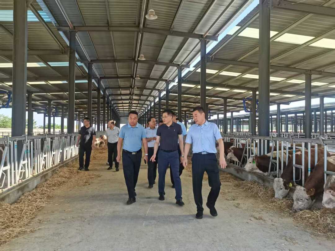 省畜牧总站站长孔雷一行来我市调研畜牧特色产业发展_6.jpg