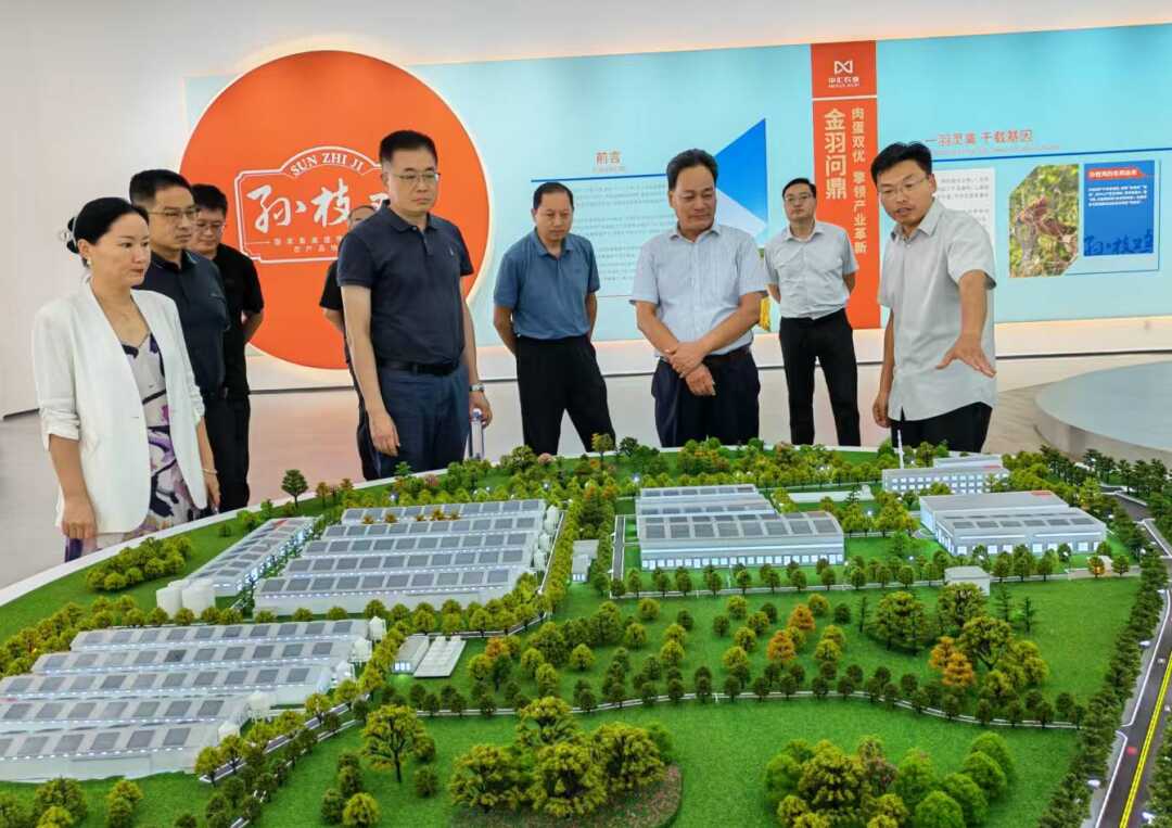省畜牧总站站长孔雷一行来我市调研畜牧特色产业发展_7.jpg